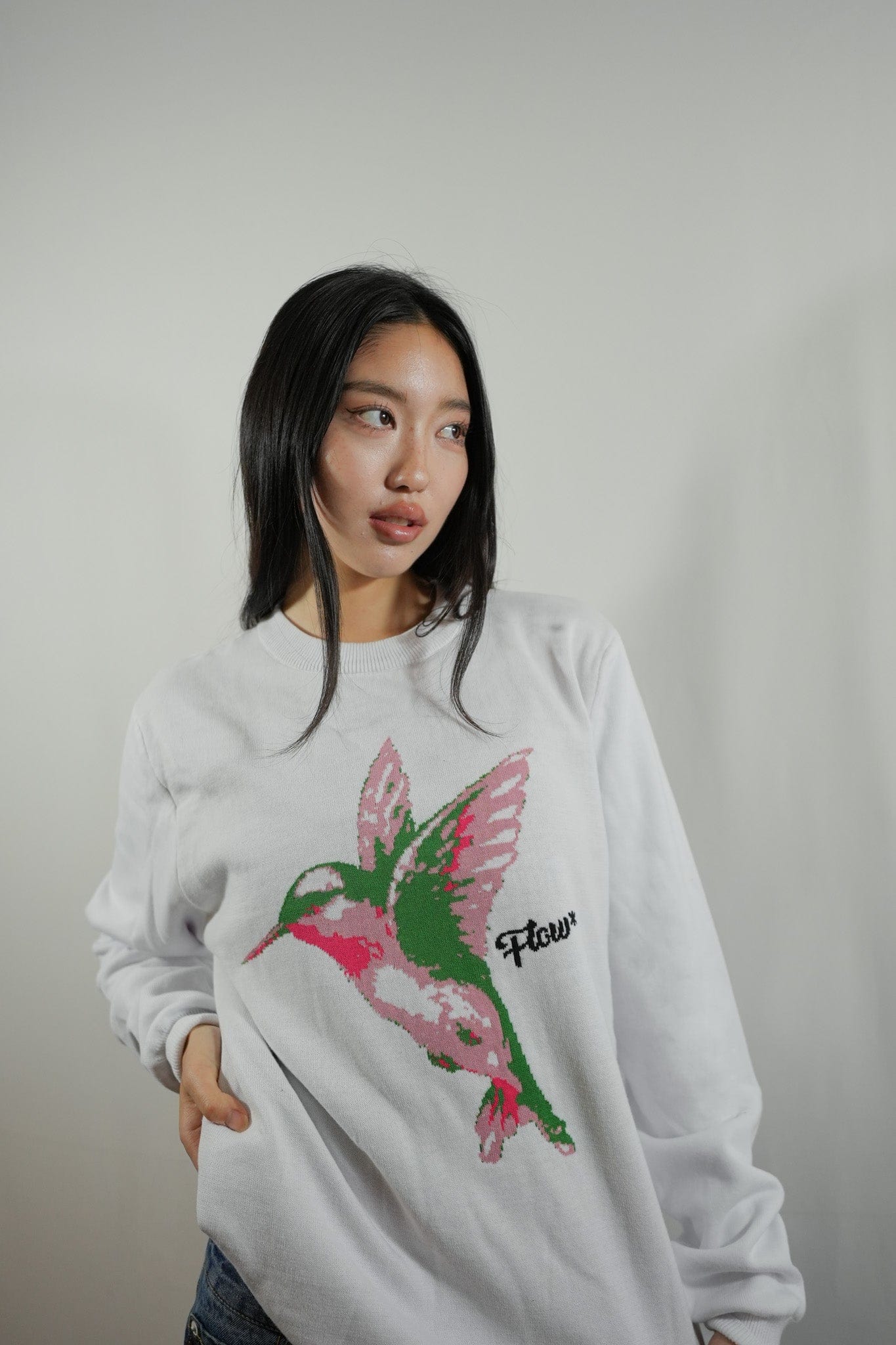 Hummingbird Knit Sweater